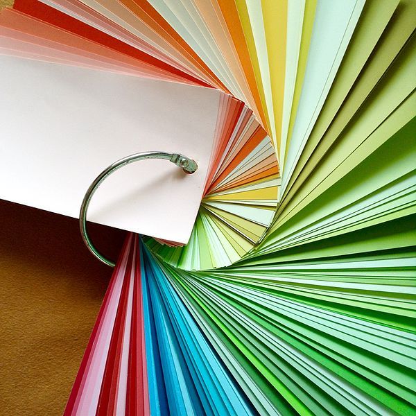 El Color del Año: Cómo elegir el tono ideal para transformar tu hogar